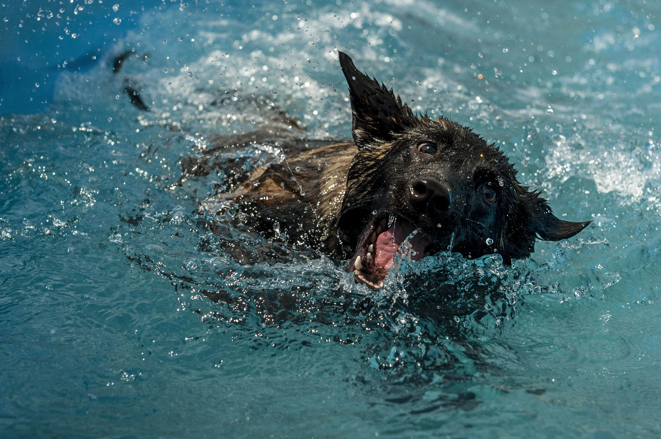 Swim Time