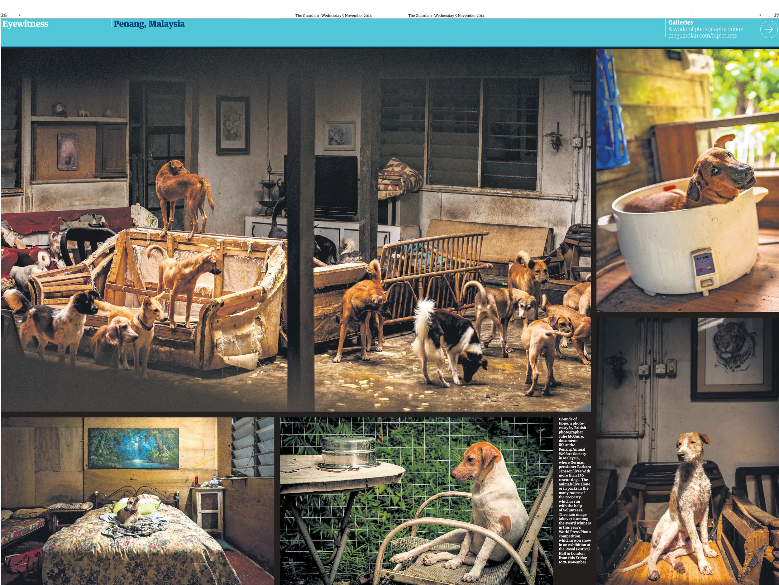 Hounds of Hope