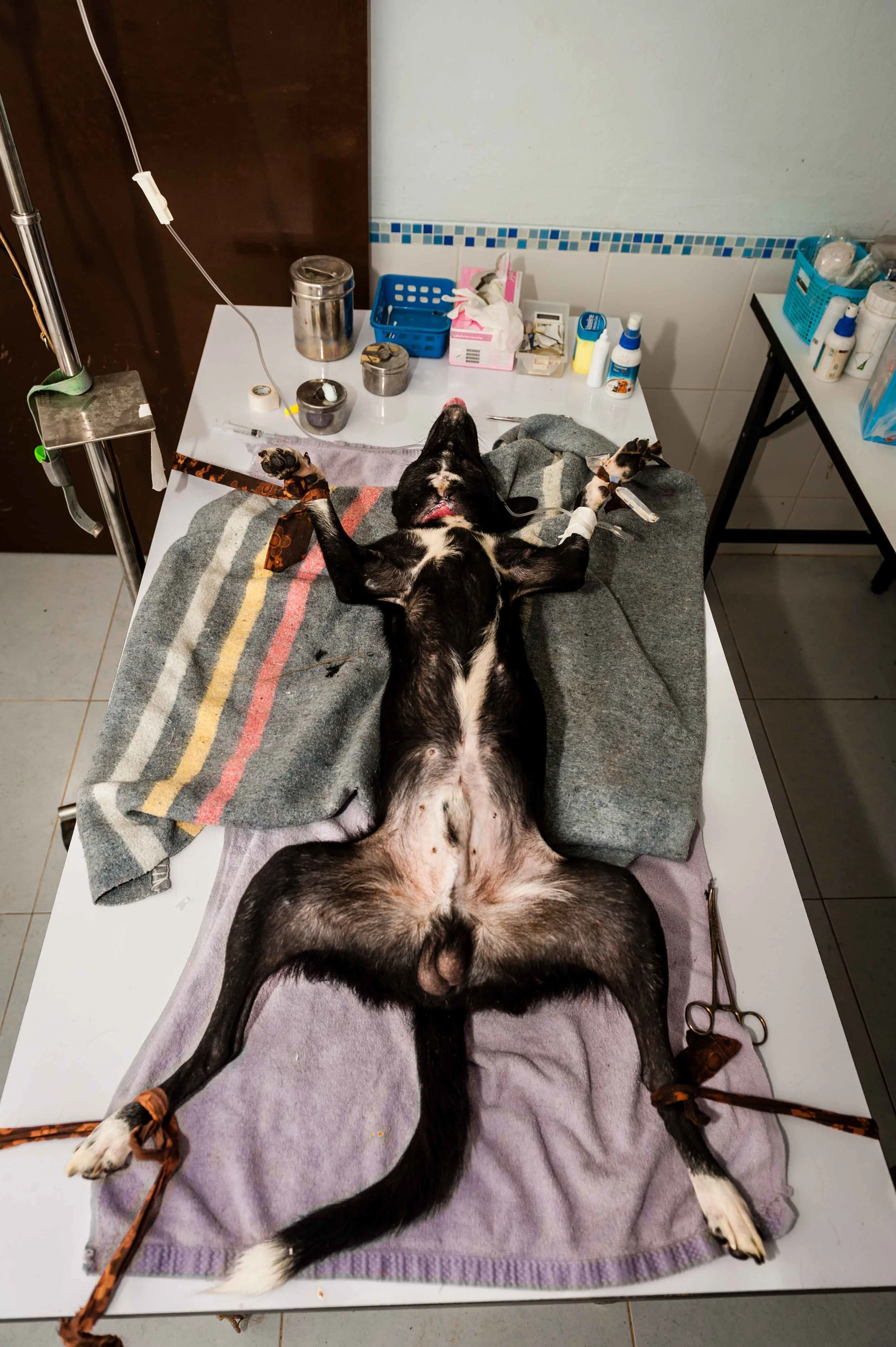 Treatment and Sterilization