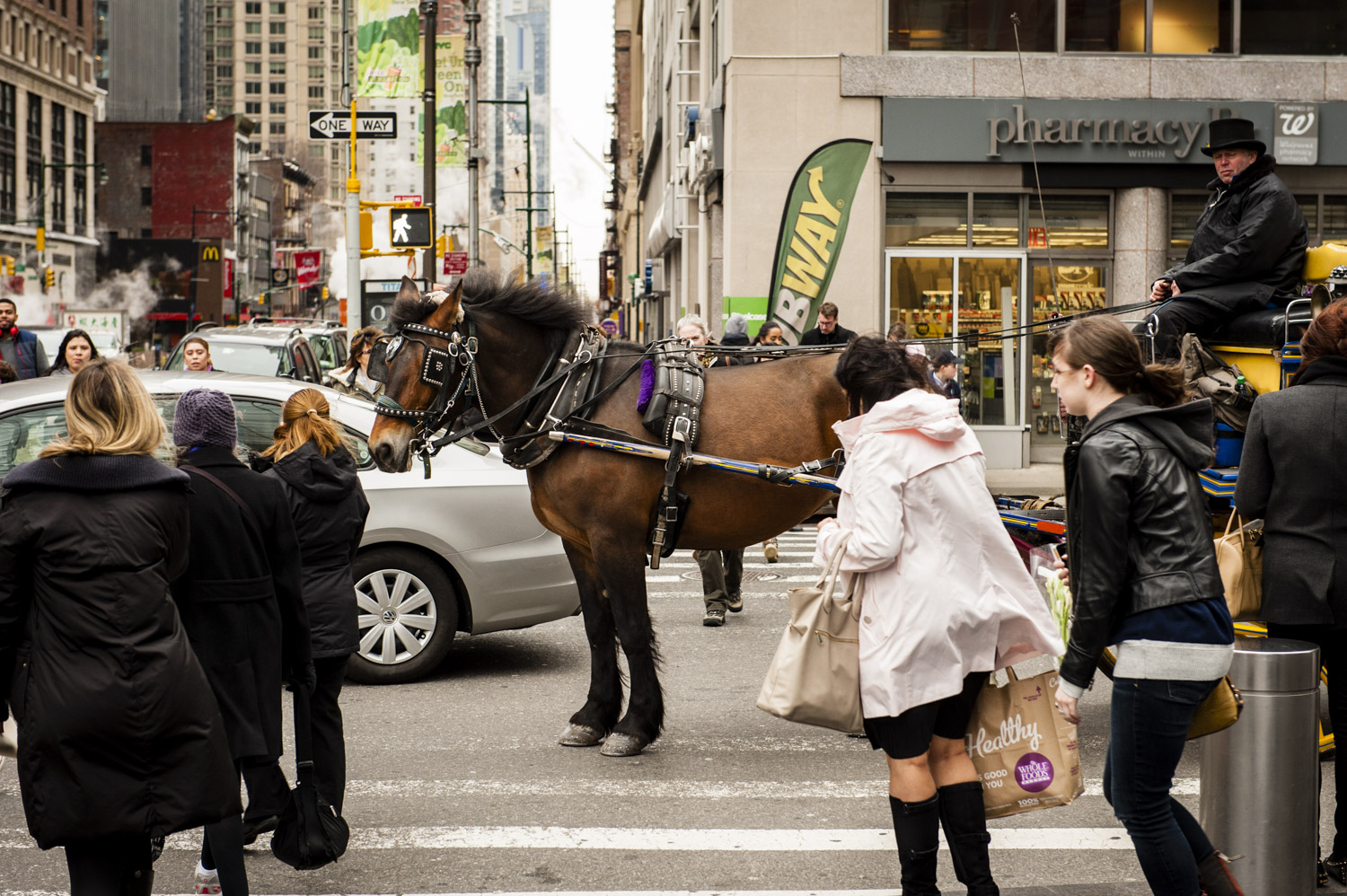 JAM_CARRIAGEHORSES-4.jpg