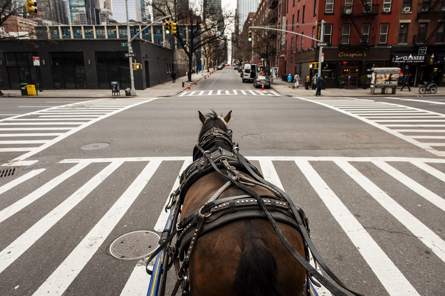 JAM_CARRIAGEHORSES-3.jpg