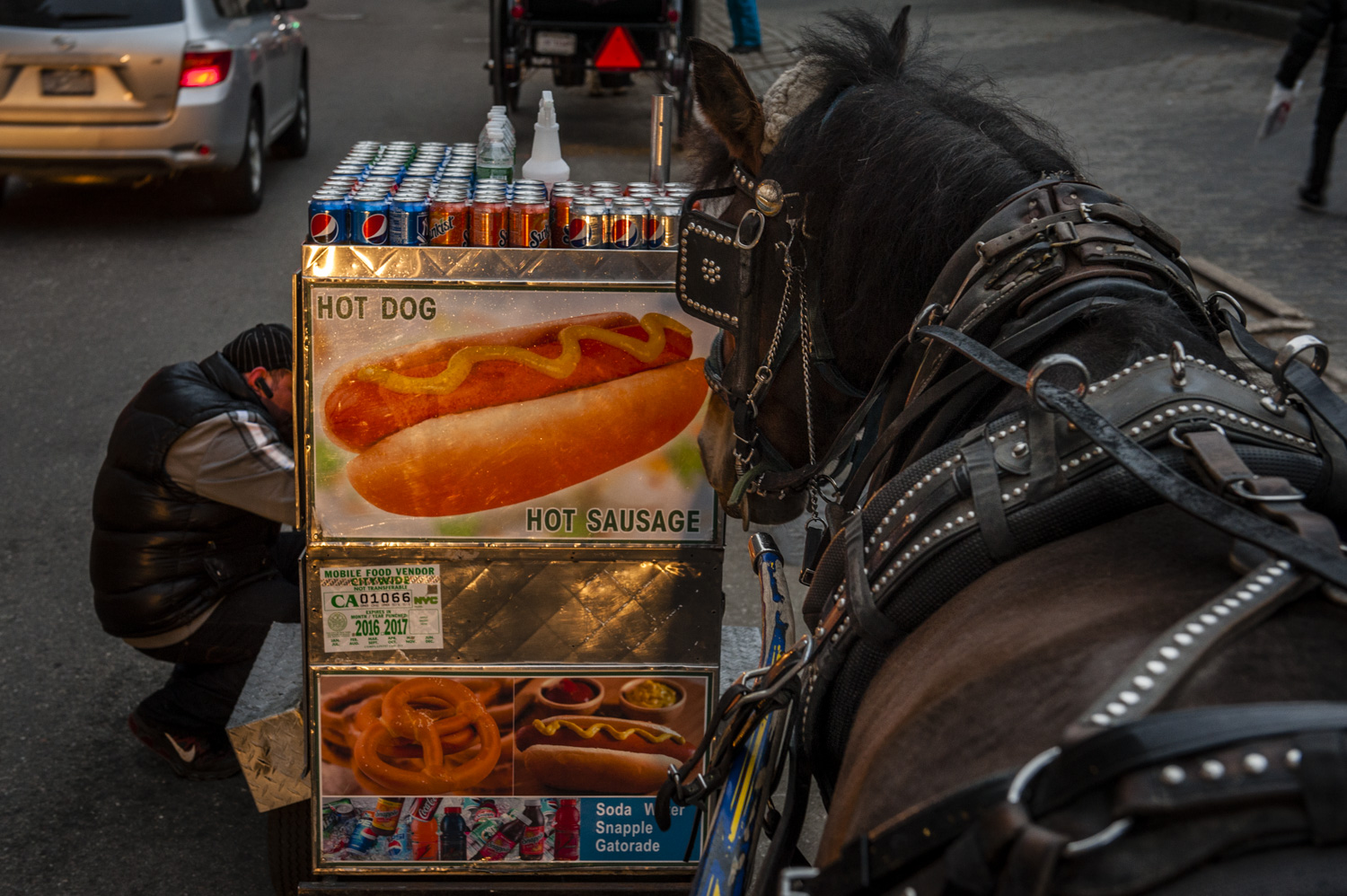 JAM_CARRIAGEHORSES-15.jpg