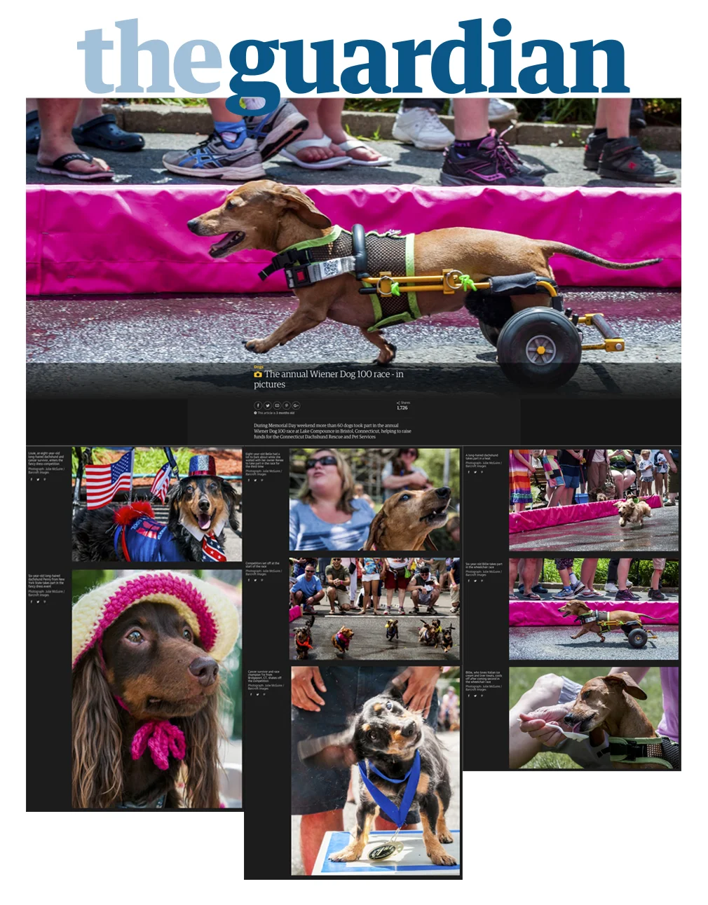 Wiener 100 Races