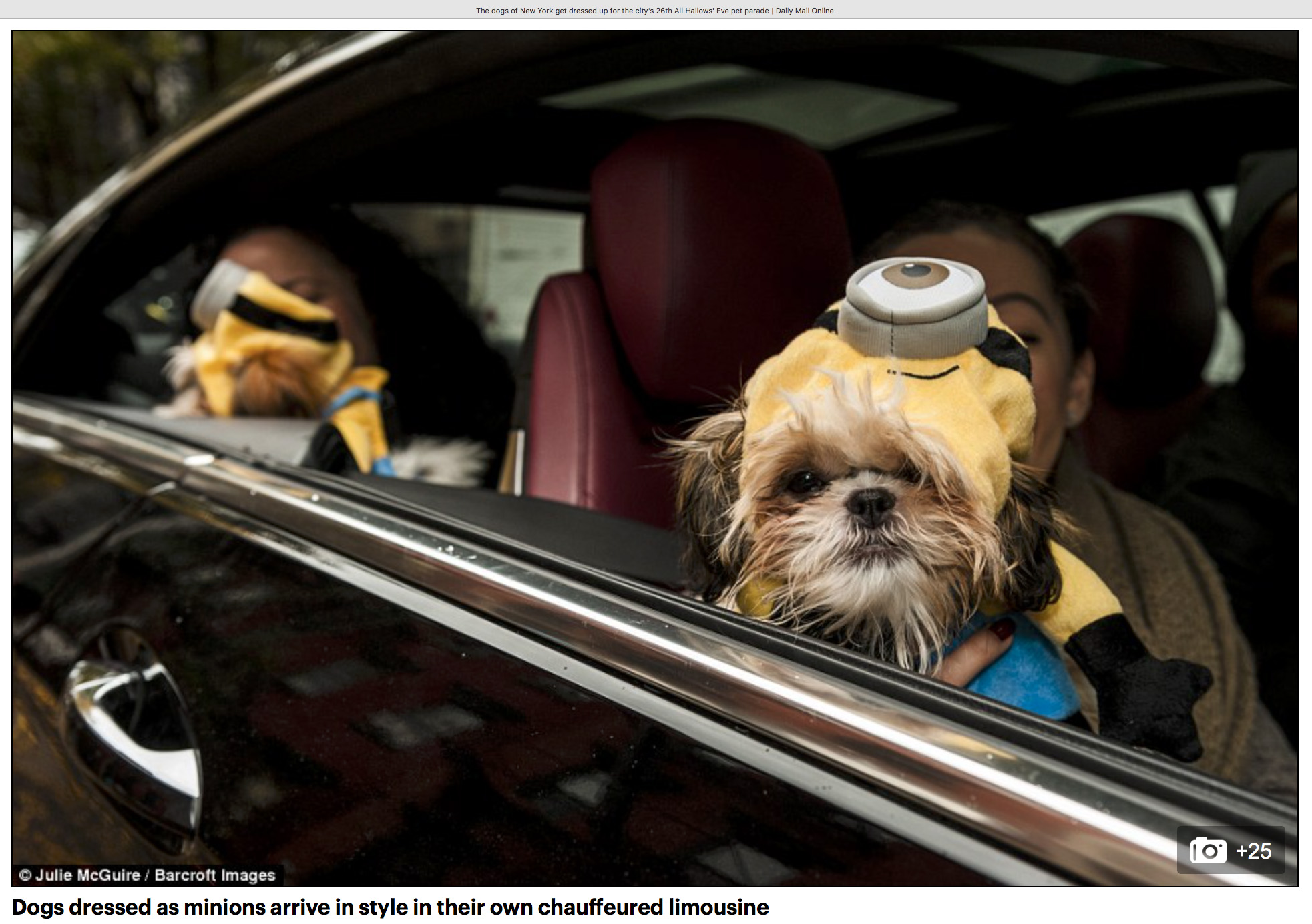Minions arrive at the Halloween Dog Parade (Copy)