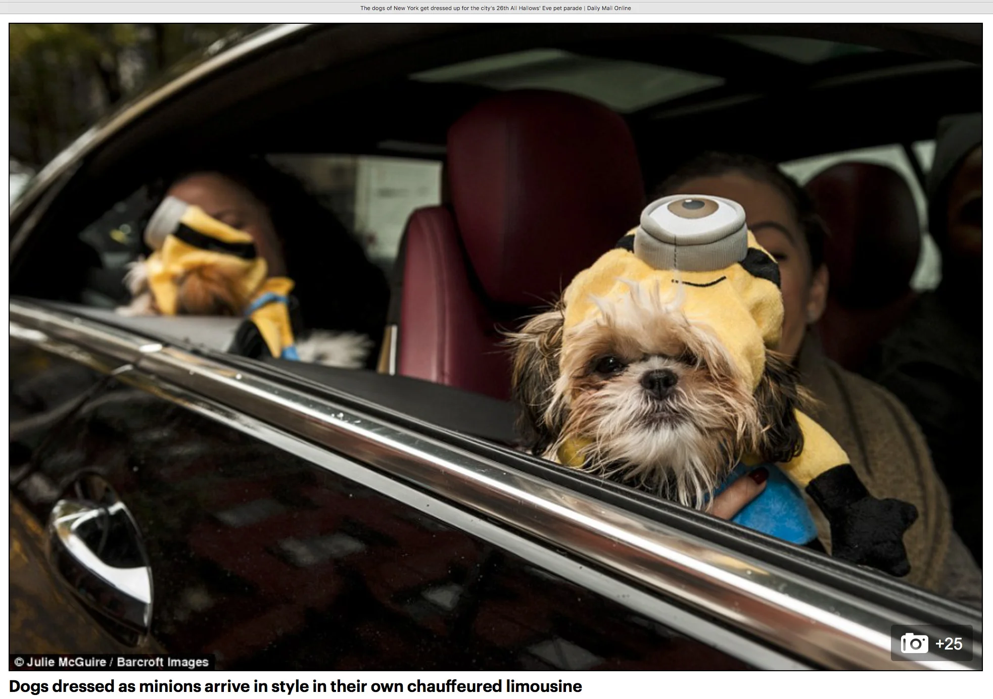 Minions arrive at the Halloween Dog Parade