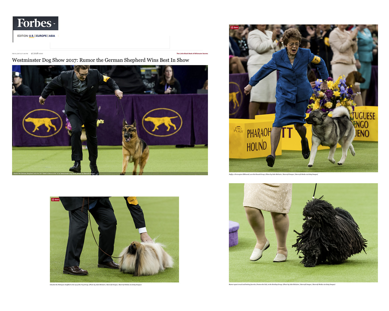 Westminster Dog Show 2017 (Copy)