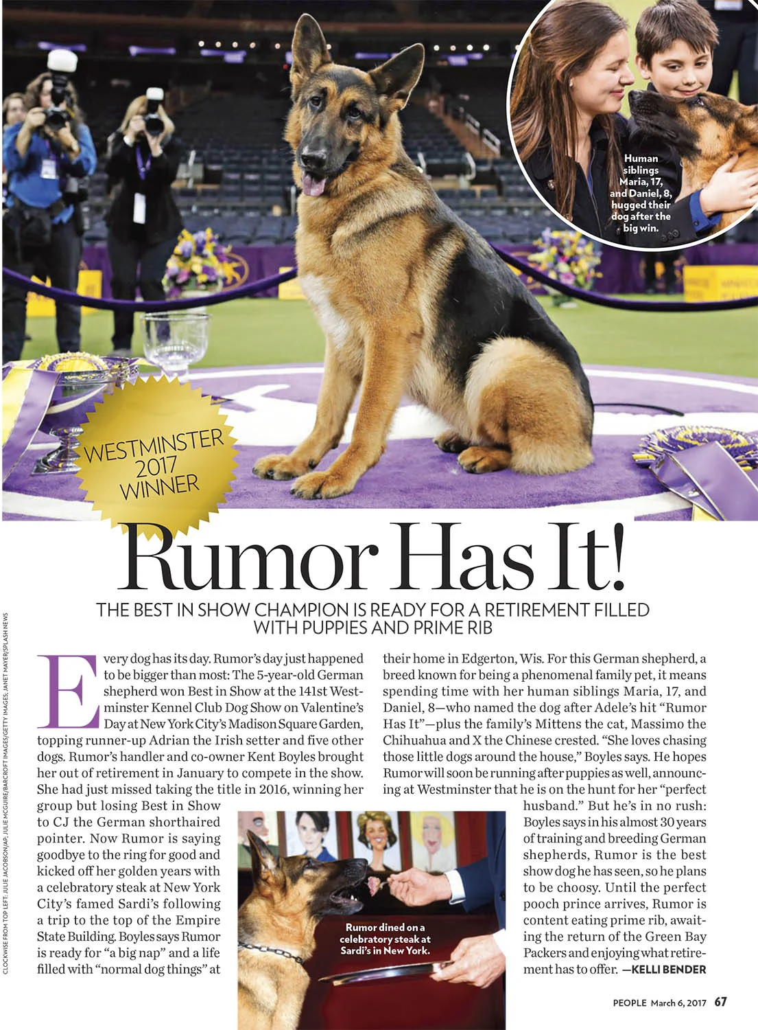 Westminster Dog Show 2017