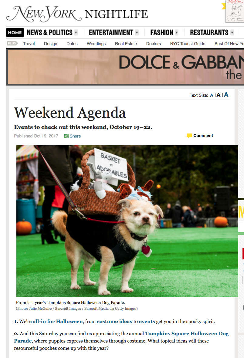 Halloween Dog Parade NYC 2017 (Copy)