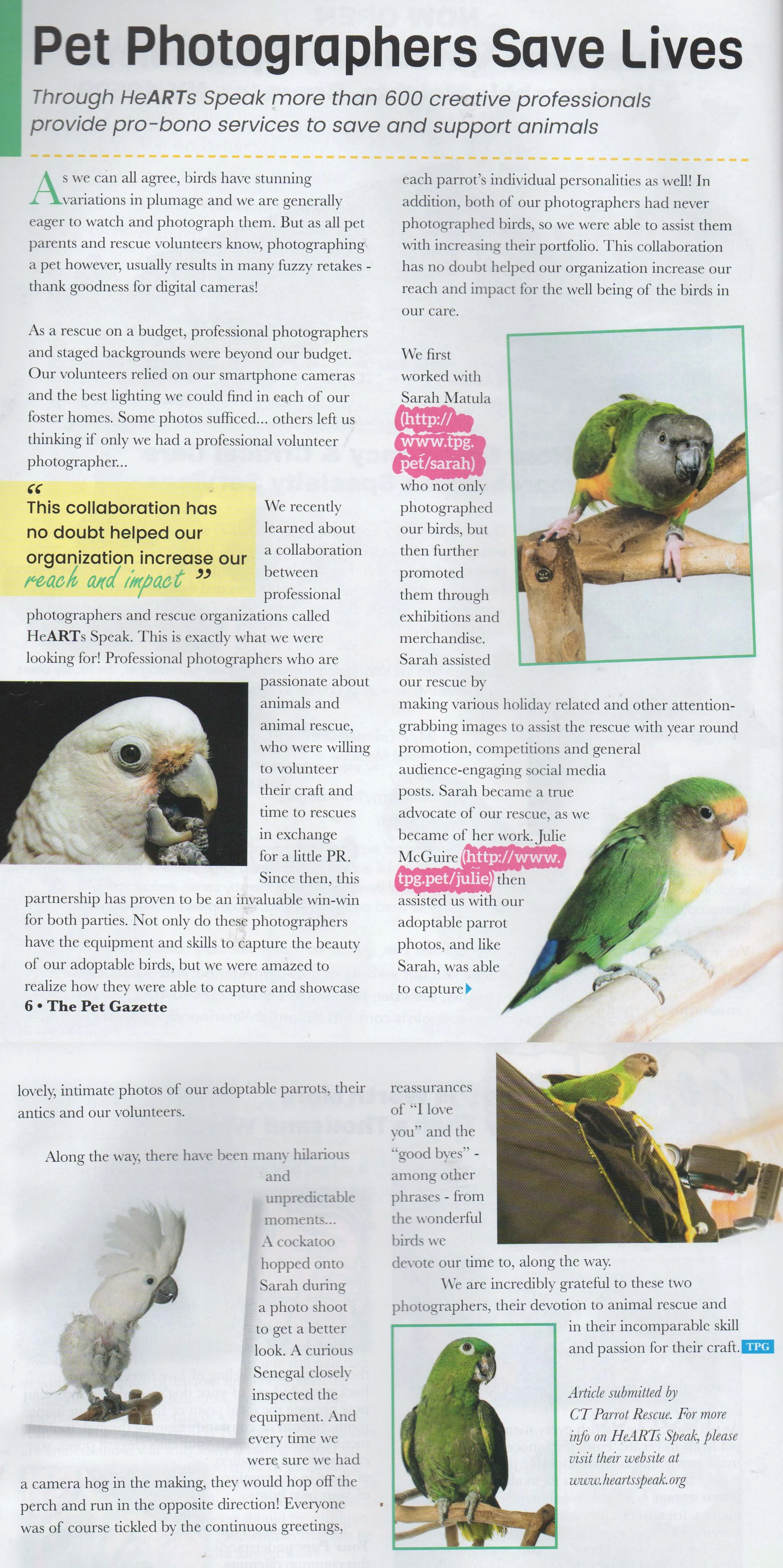Connecticut Parrot Rescue