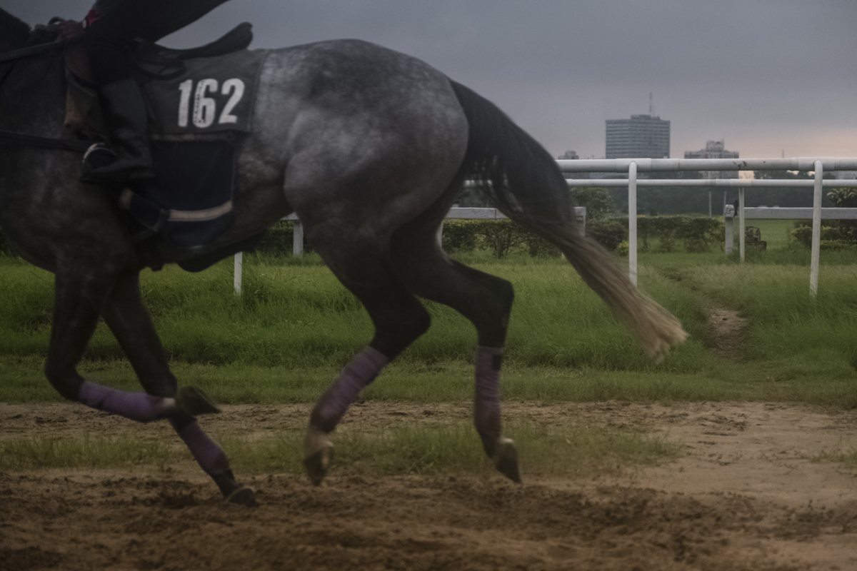 _MCG0824-Edit.jpg