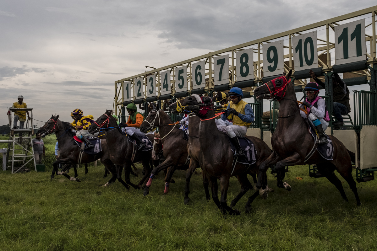 Royal Calcutta Turf Club