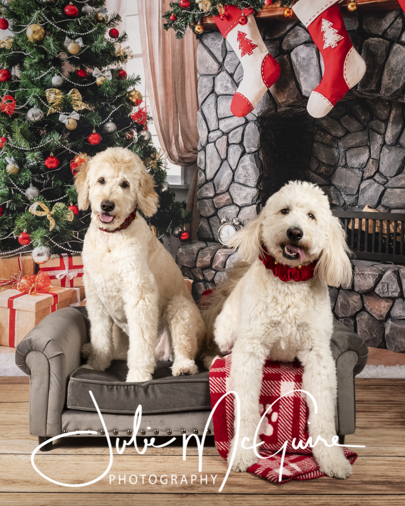 DID YOU MISS OUR HOLIDAY MINIS?