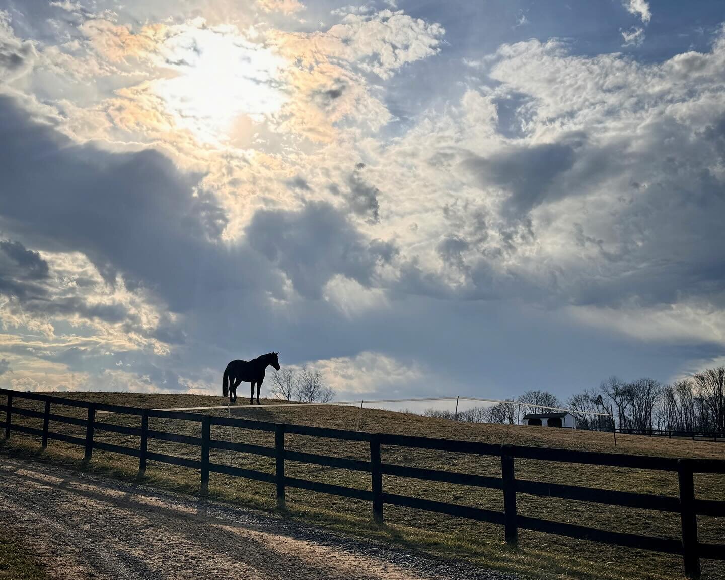 Late afternoon at @cabinbranch_farm. Beautiful day!