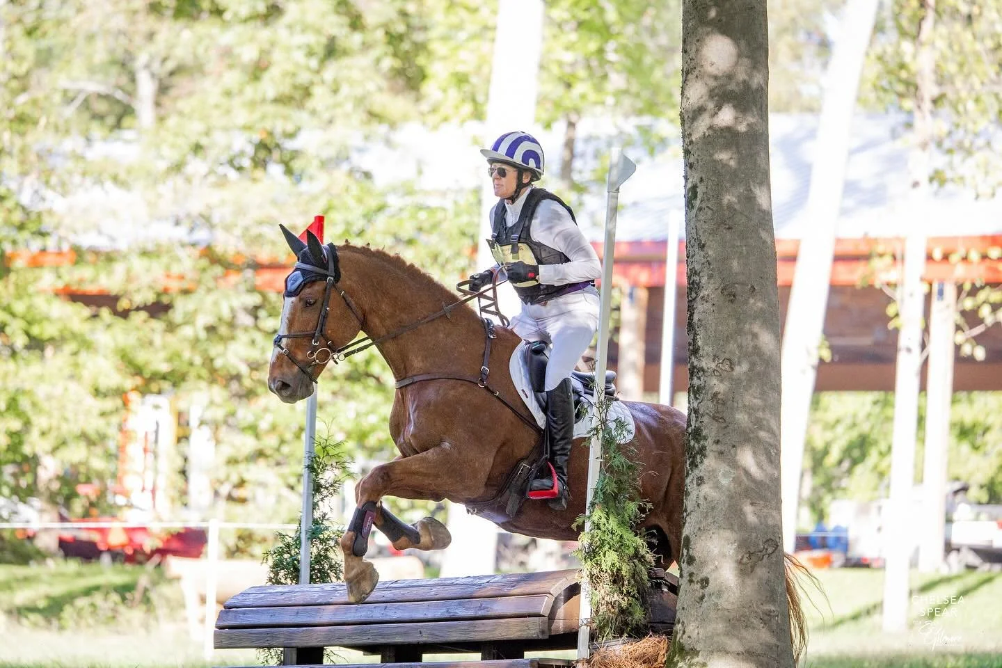 Fabulous first day @usea.area2 Championships at @loch_moy_farm. We had a great run around cross country, well within time and no penalties. Sadly life threw us a curve ball on day two in the form of a blow out on 66 and we didn&rsquo;t get to show ju