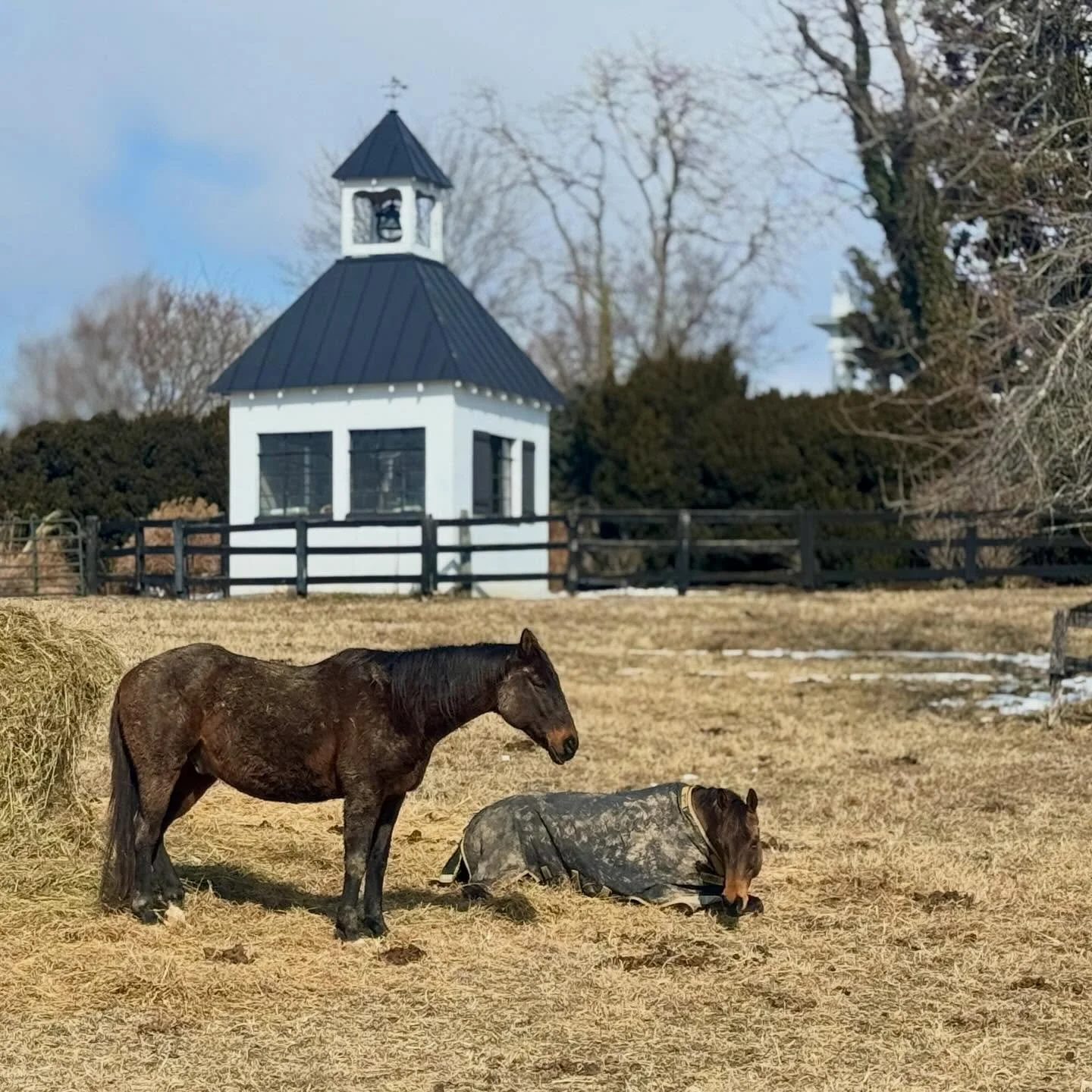 After the snow&hellip;. Comes the mud! Enjoy the thaw. @cabinbranch_farm