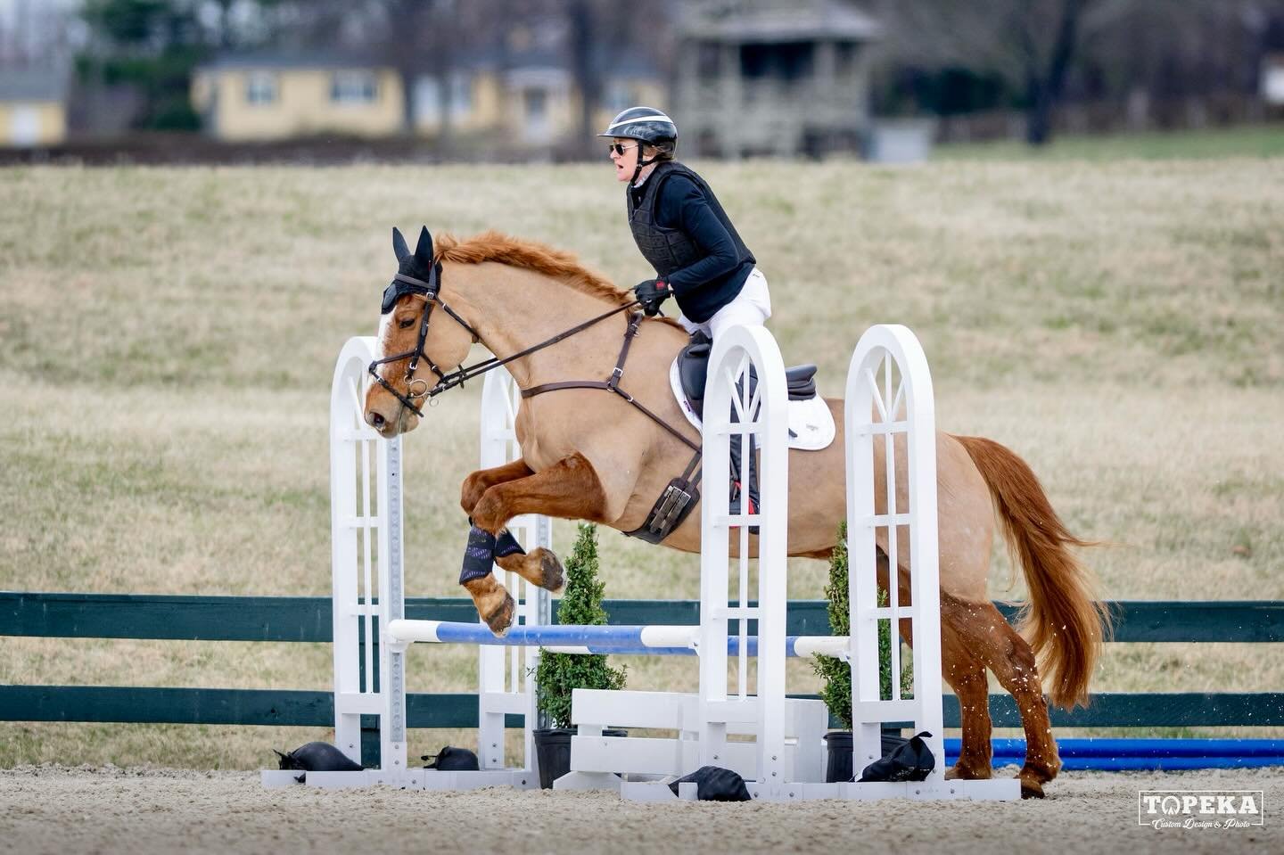 Happy new jumping season! Rusty but giving it a go at @ajumpabovehs at Great Meadows. Got around the 2&rsquo;3&rdquo; AND 2&rsquo;7&rdquo; without incident 😂 Thanks to @catramsey and @mybell1234 for lots of support and encouragement. And of course l