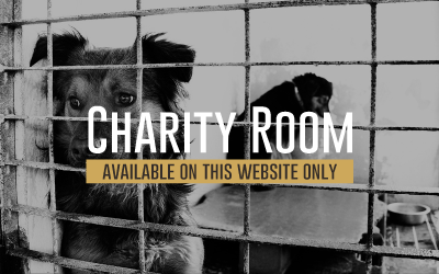 CHARITY-ROOM-ENG--B.png