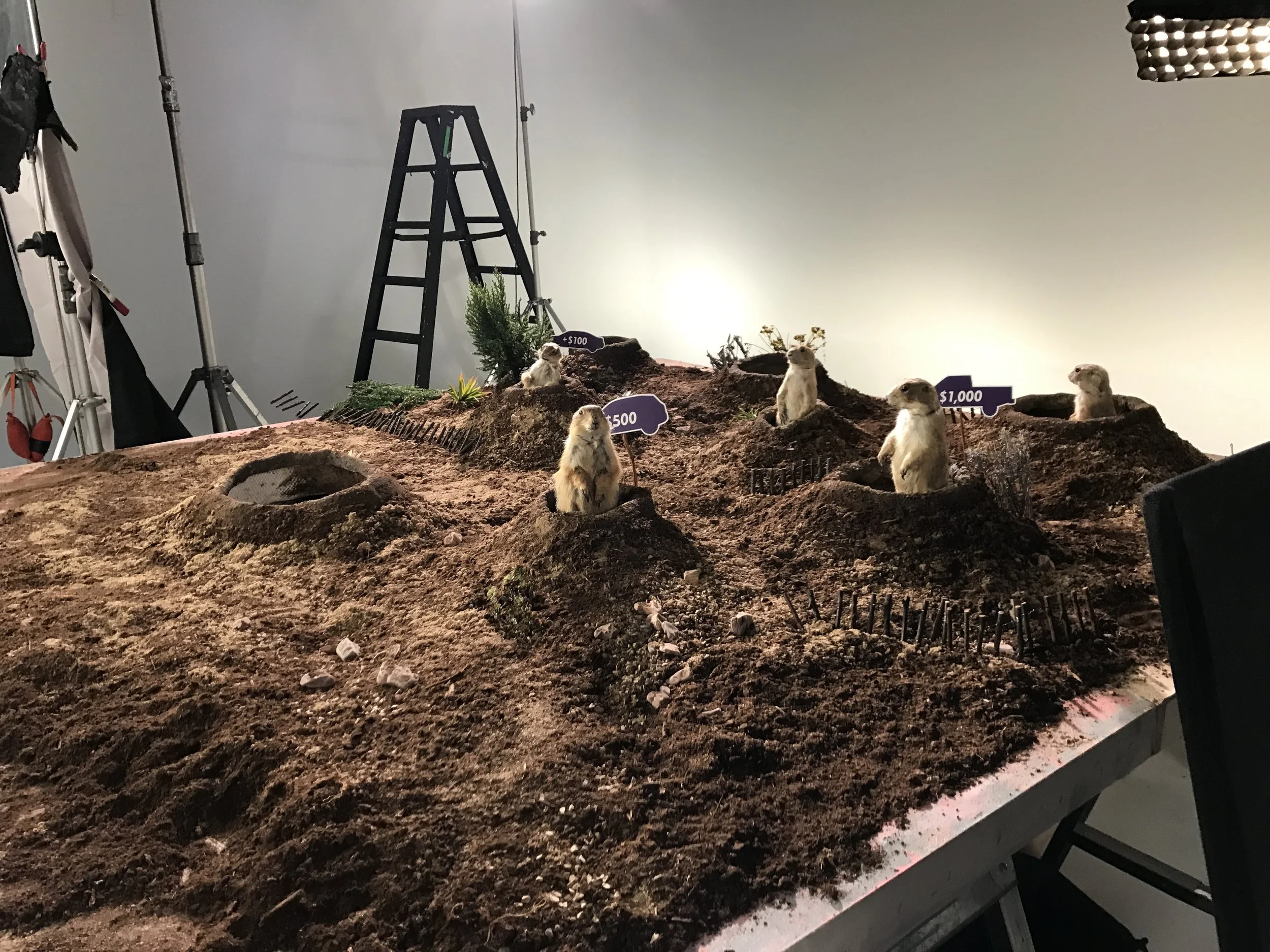  THE CUTE LITTLE PRAIRIE DOG VILLAGE SET I MADE.  