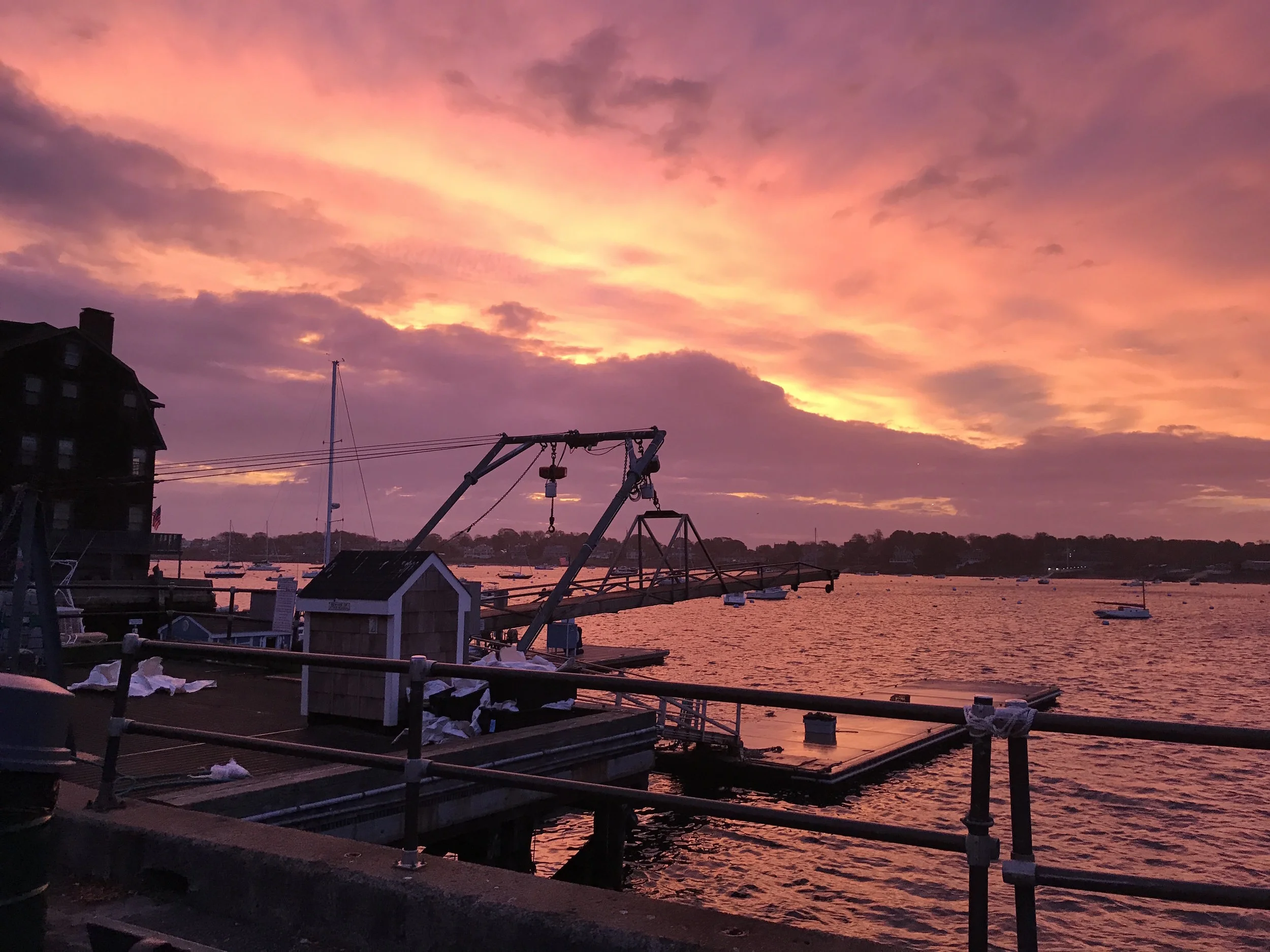 An actual sunrise this week. No filter.
