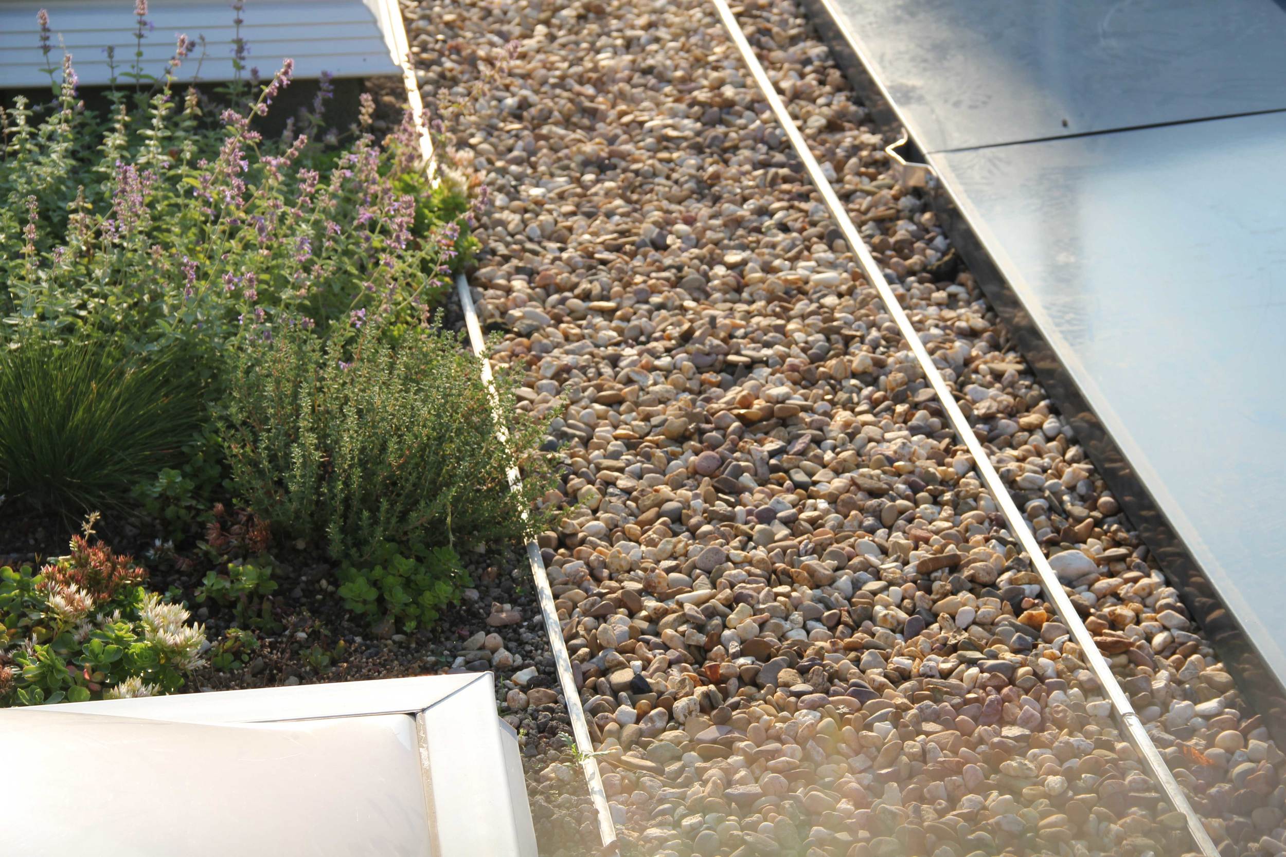 Liner3.jpg