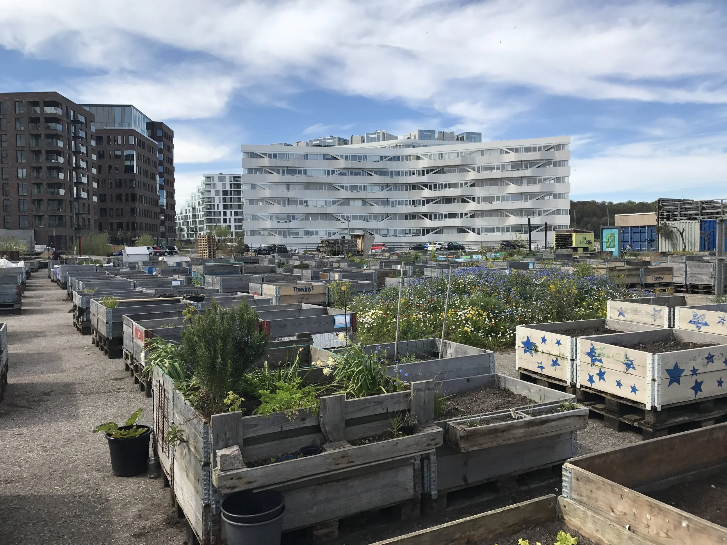 1 Midlertidighed.jpg