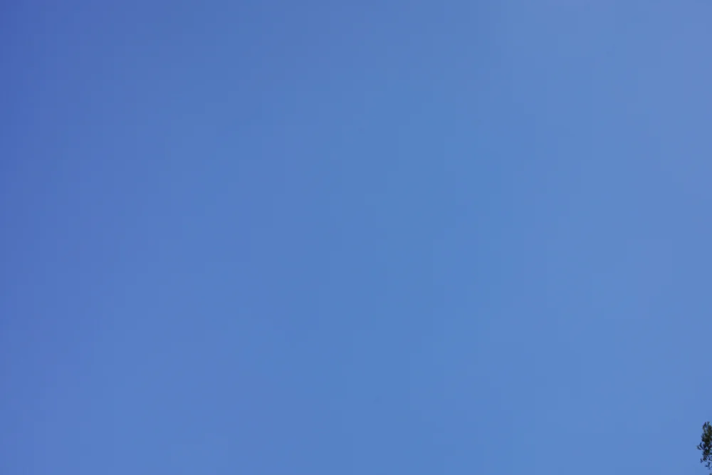 DSC00234-45.jpg