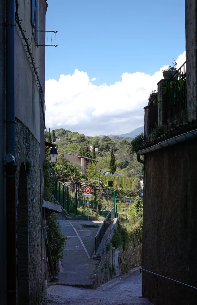 DSC00305-83.jpg