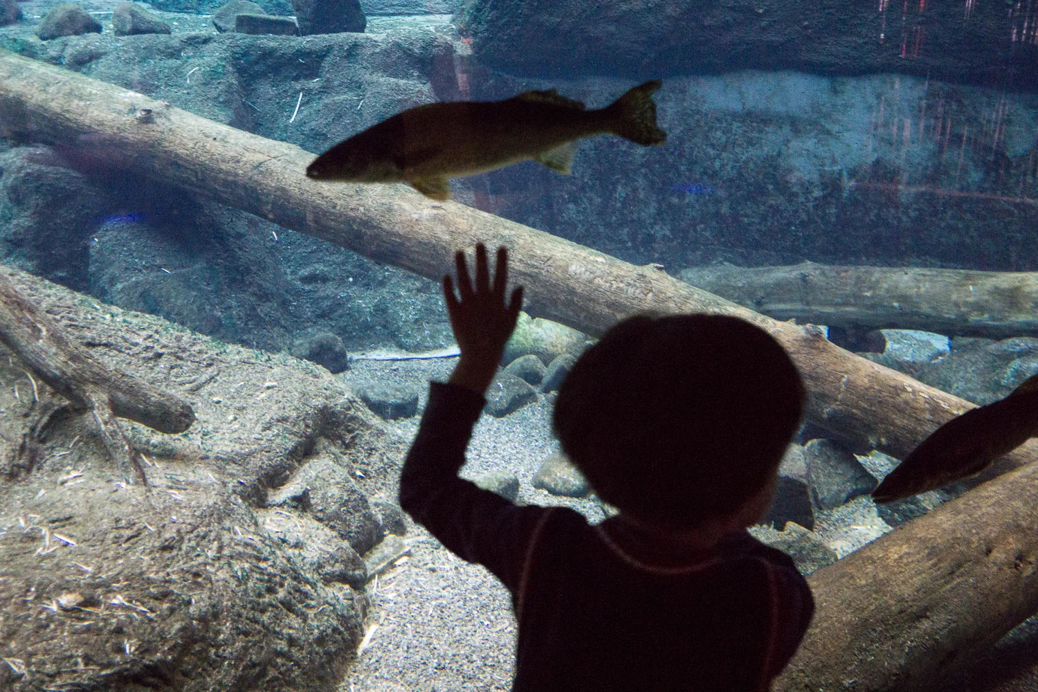 canadatrip-13.jpg