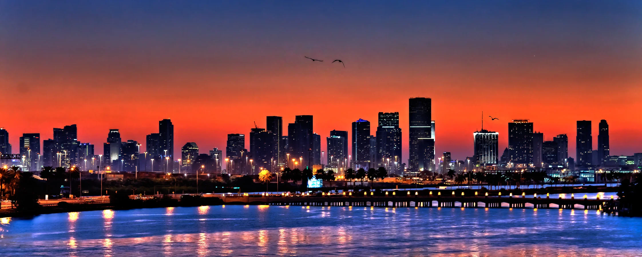 skyline-at-night.jpg