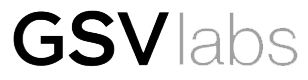 GSVlabs-logo.png