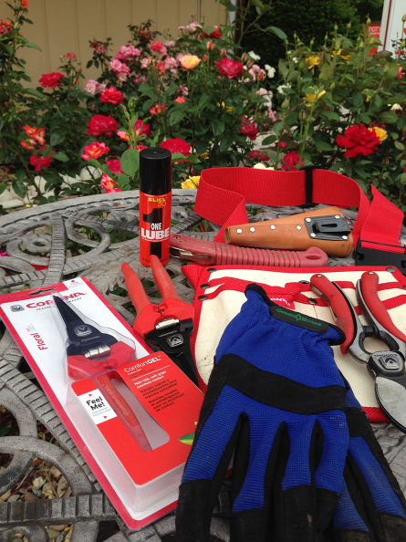 A rose pruner's toolkit