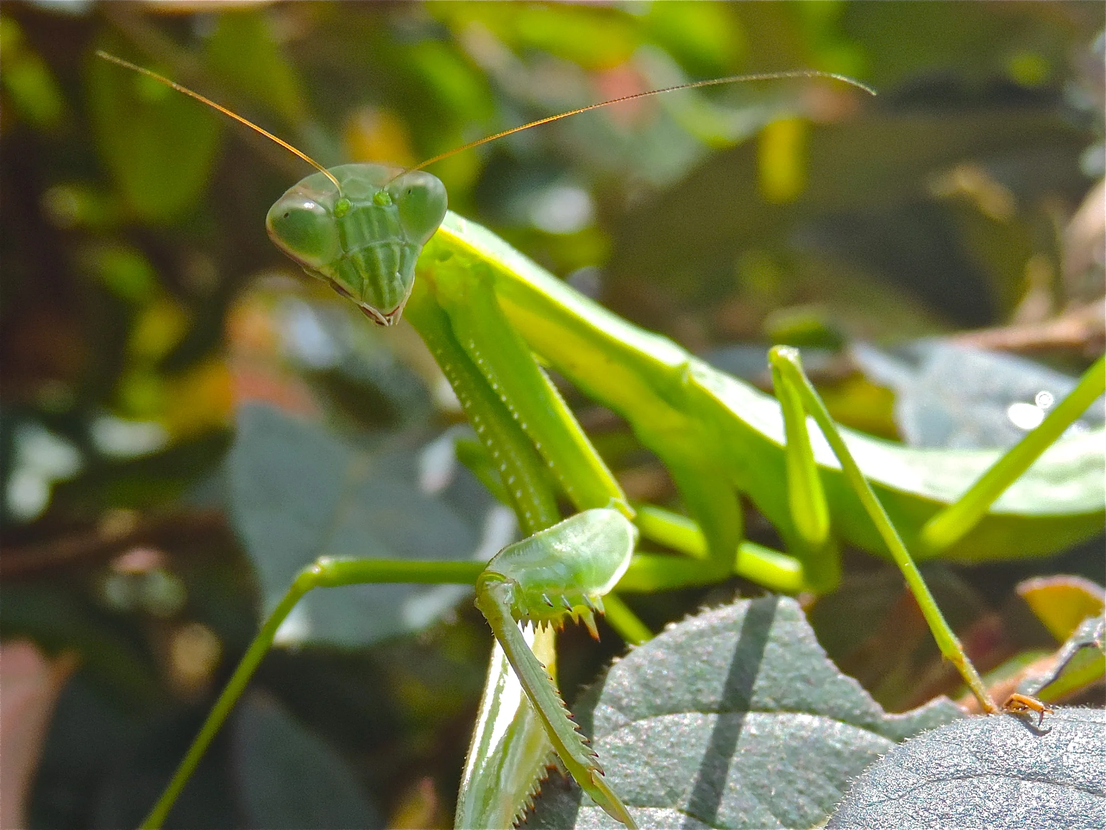 rscn6348.jpg