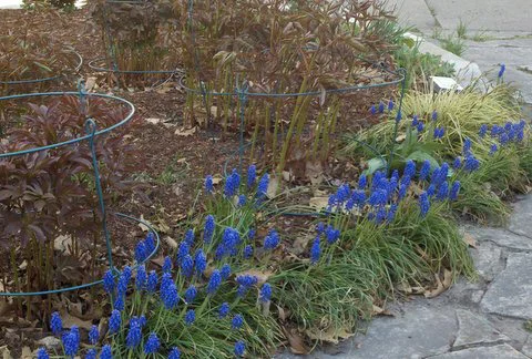 2012-04-09_17-45-13_858.jpg