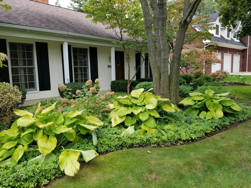 Installation/Renovation
