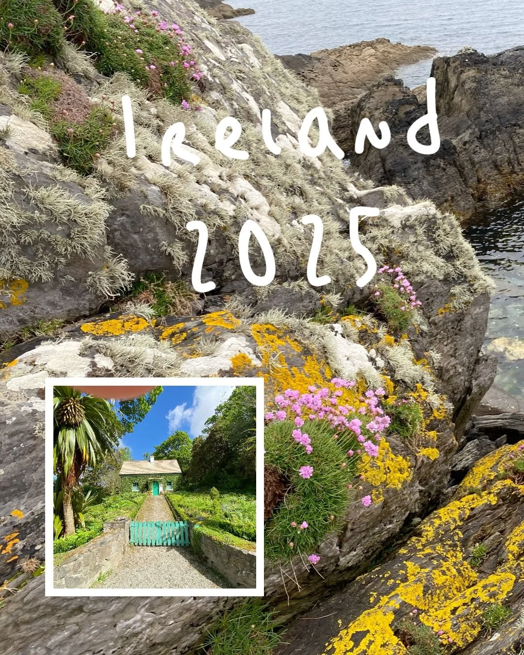 Well friends, this past April and May we spent a whole month in Ireland, and I&rsquo;m still thinking about those gardens. 💚🌿

Everywhere you turn, something is blooming, climbing up an old stone wall, or spilling over a path like it&rsquo;s been t