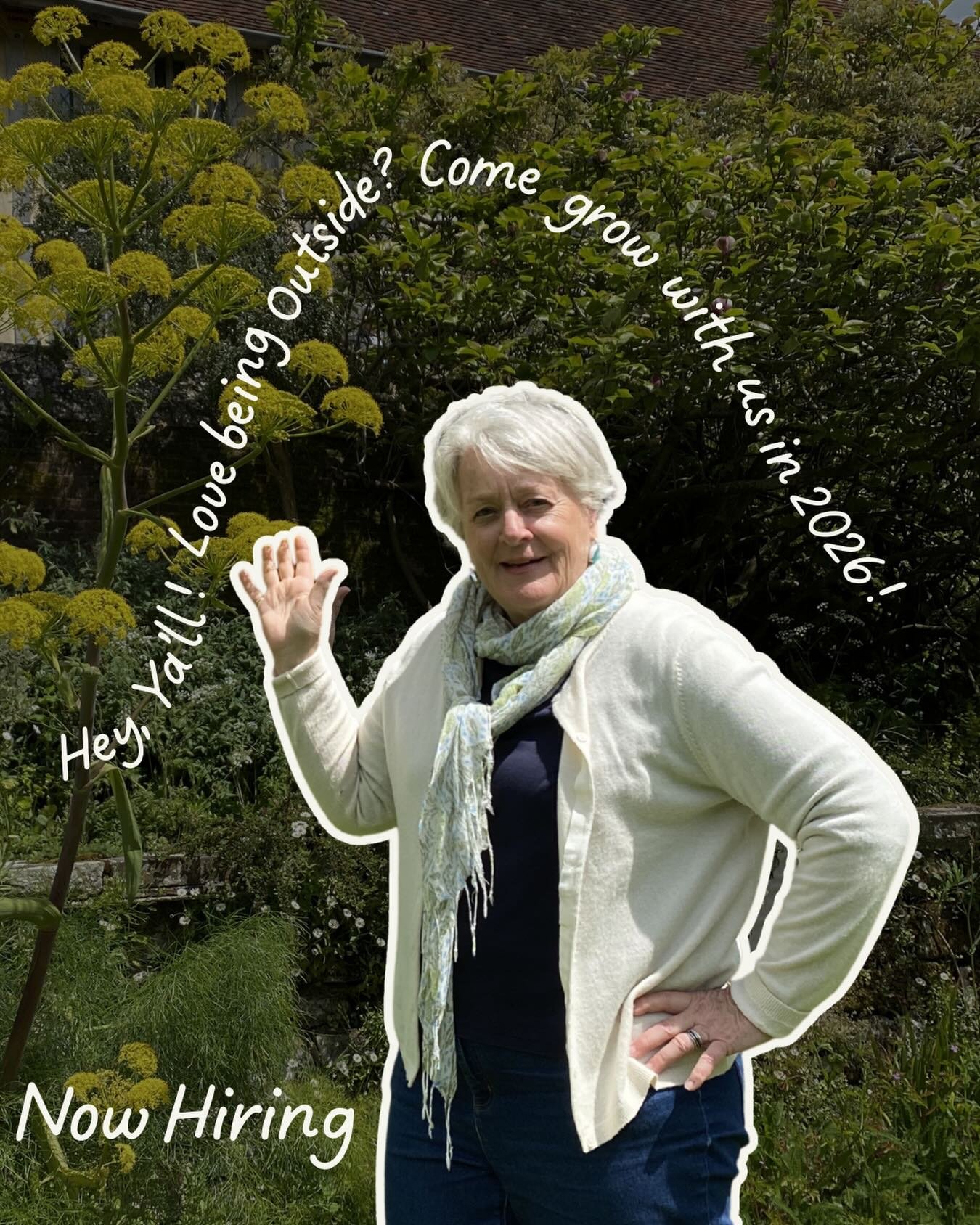 Thirty-two years ago, Mil started A Southern Gardener so she could pick her girls up from school and still build something meaningful.

What began with a shovel and a minivan has grown into an all-women team designing, installing, and maintaining gar