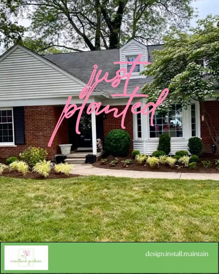 Consultation. Design. Installation.Maintain. This is how a Southern Gardener garden comes to life. If you&rsquo;ve been thinking about transforming your outdoor space, spring is the time &mdash; and now is the moment to book. 🌱