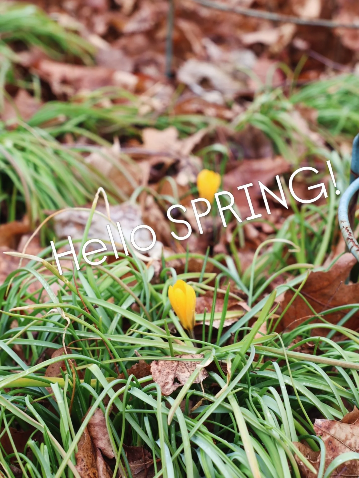 Hello Spring, we&rsquo;ve been waiting for you!