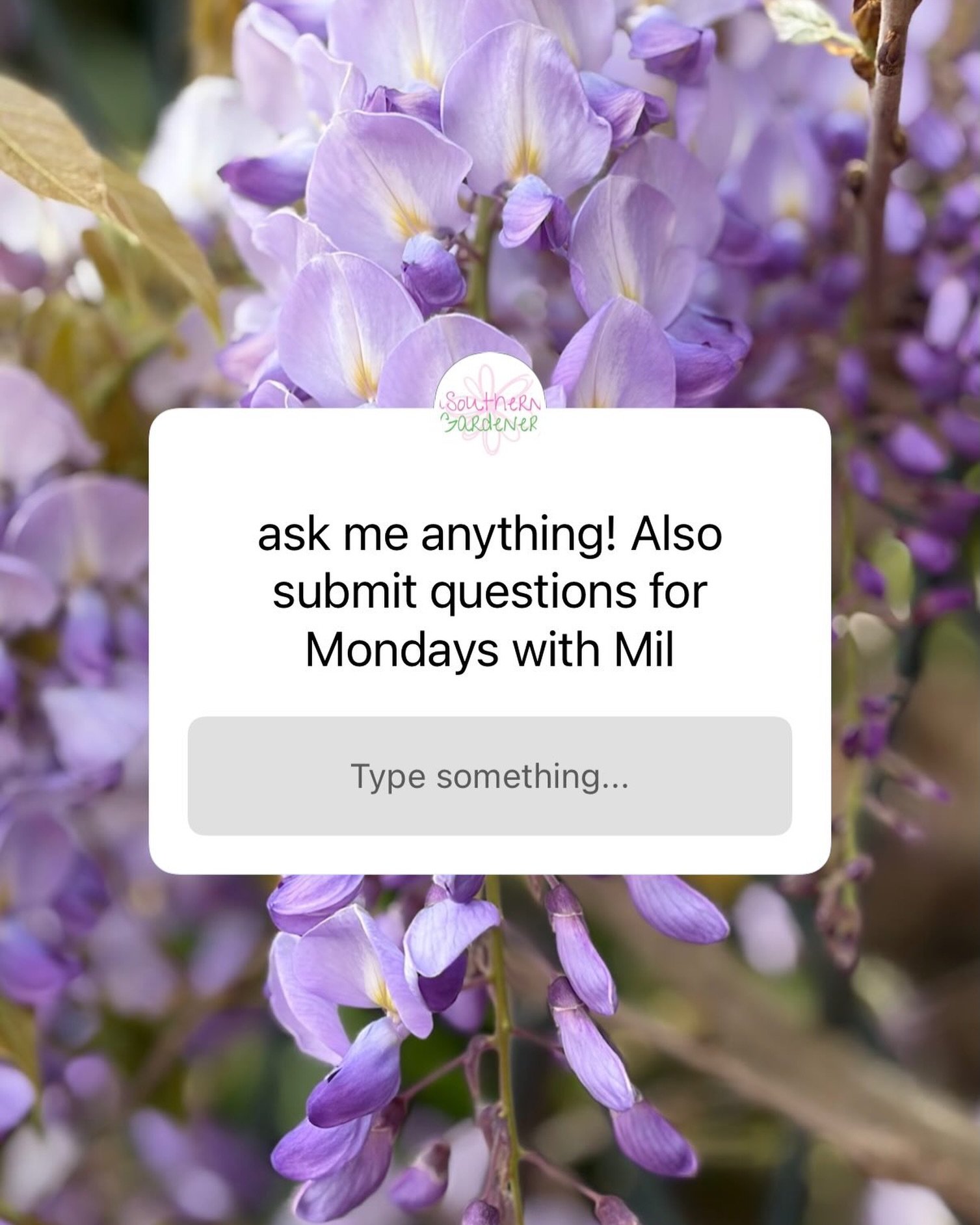 Leave your questions here!