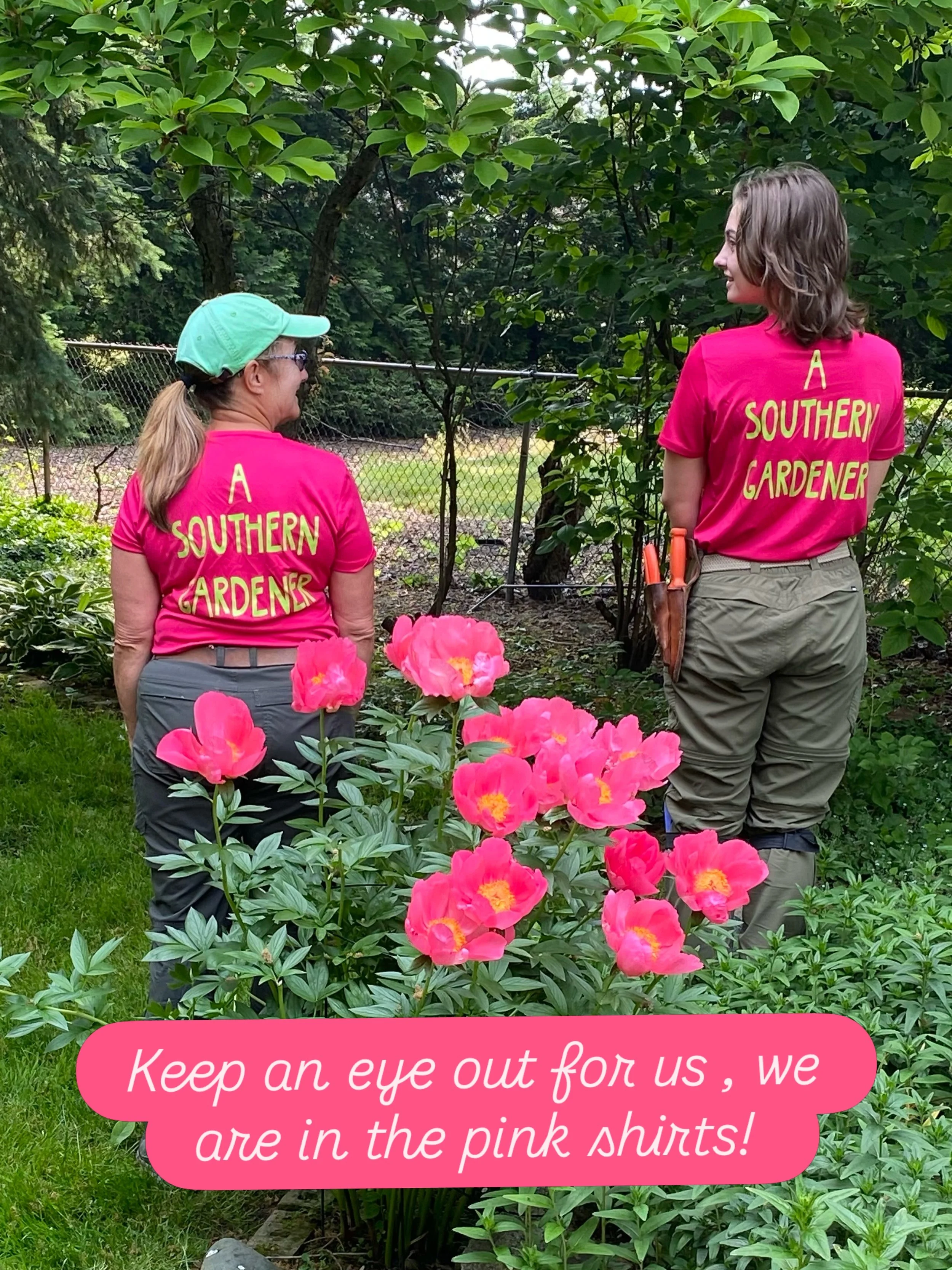Look for pink!