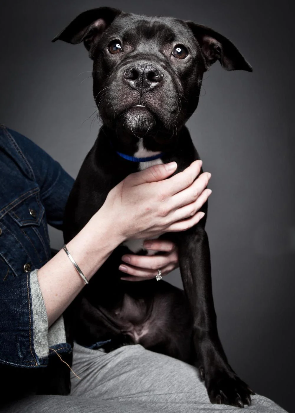 blackpooch.jpg