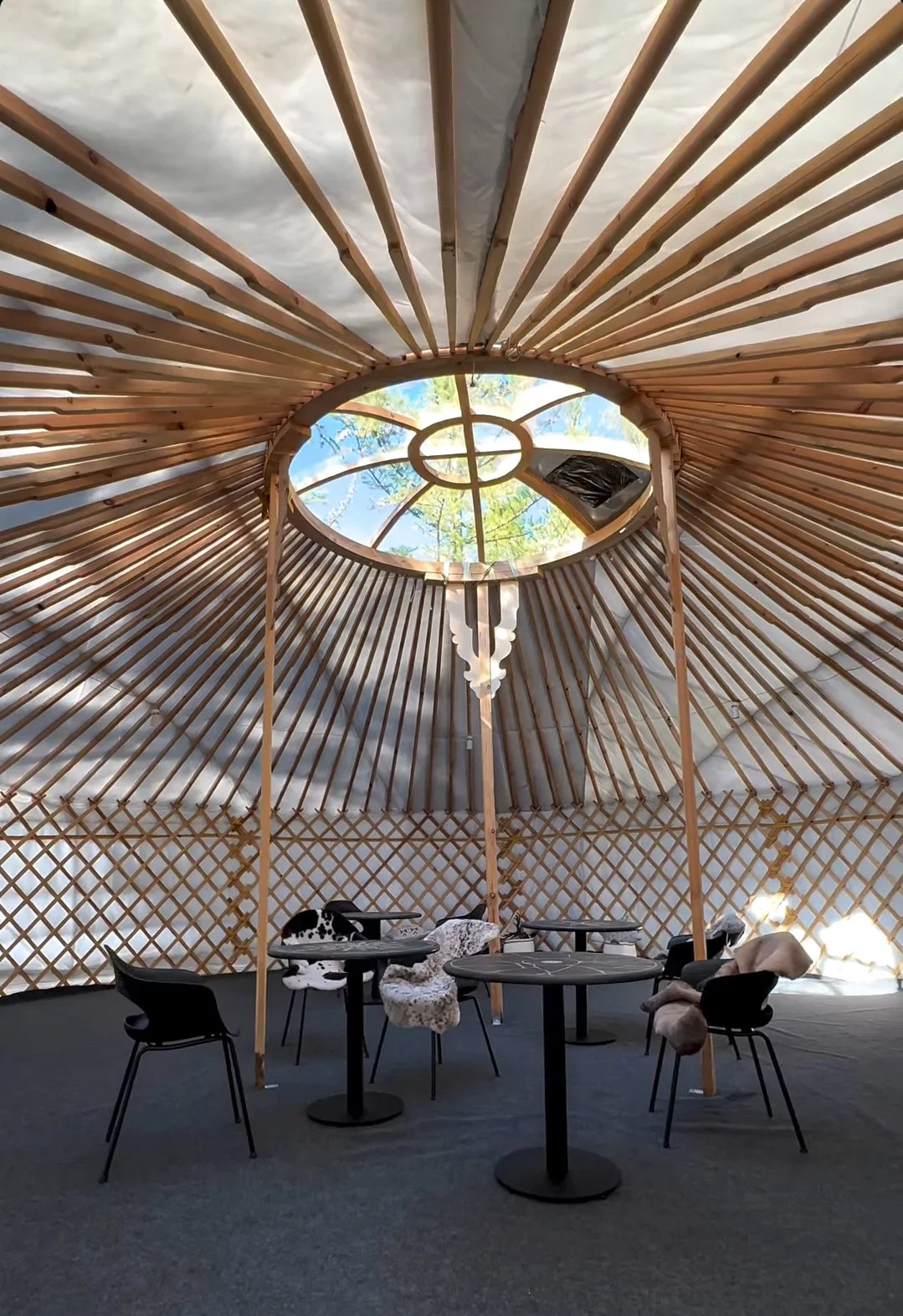 Монгольская юрта 9 м для ретритов.jpg