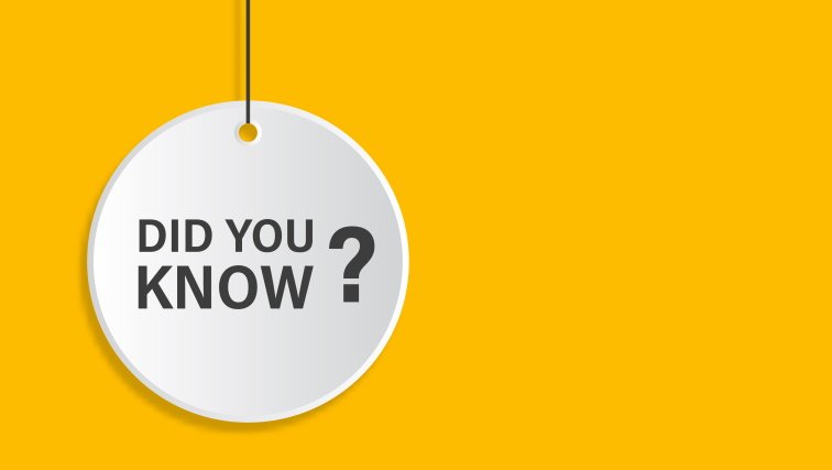 What is a Subwoofer? Everything You Need to Know About Subs