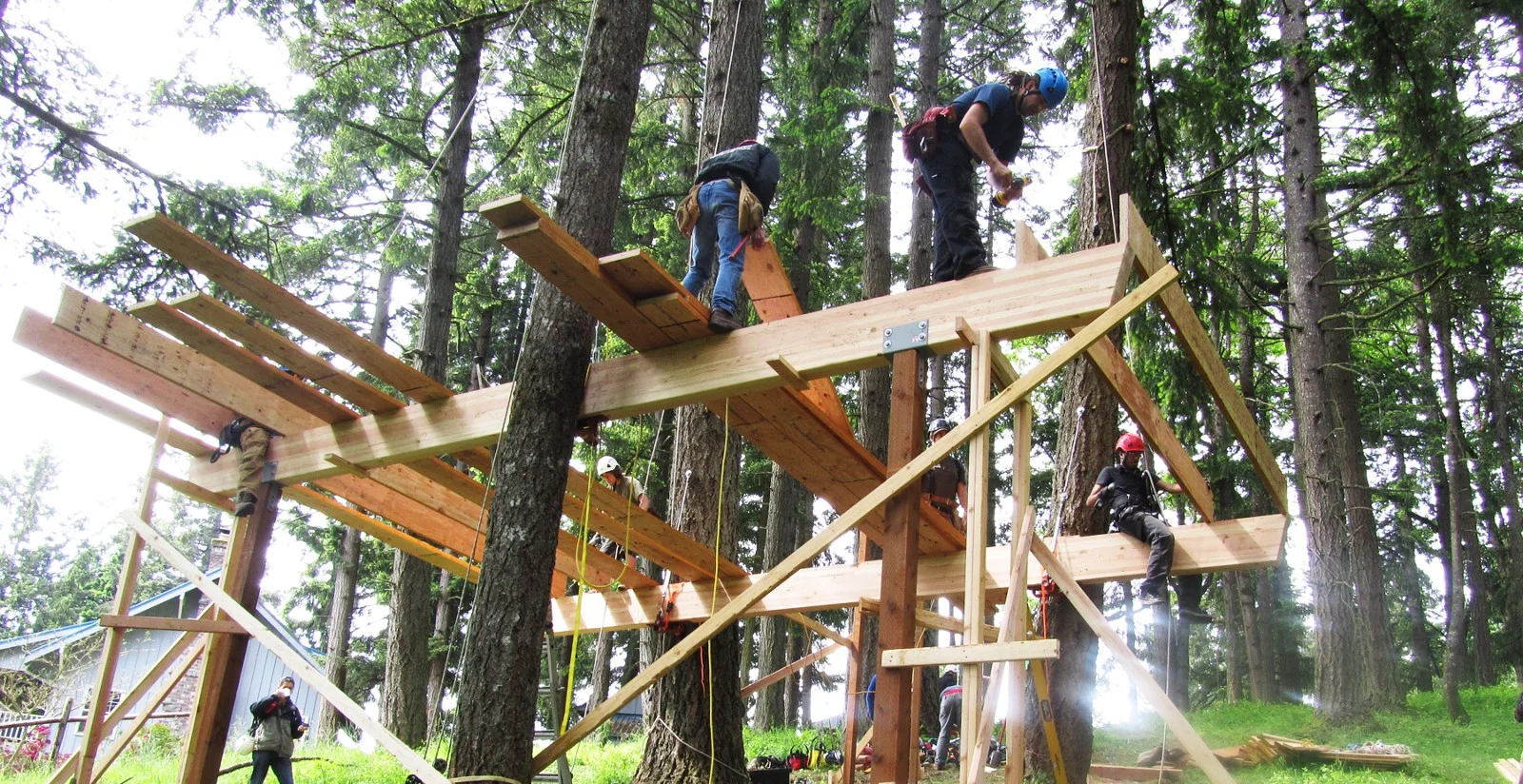 Want to help build a treehouse? A project on TravelStarter is offering just that.
