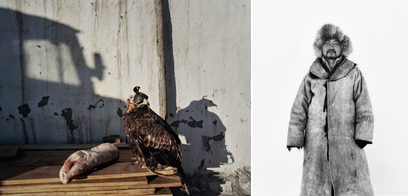 Hunters value their eagles immensely. In winter, they sleep inside with the family. / Alpam, who is learning the art of hunting from his father.
