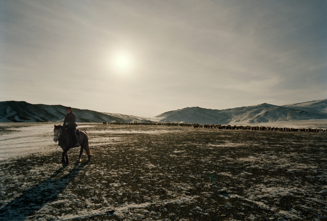 Casting a diffuse, shimmering light, the winter sun was low in the sky, as we watched this young herder and his cattle pass by.
