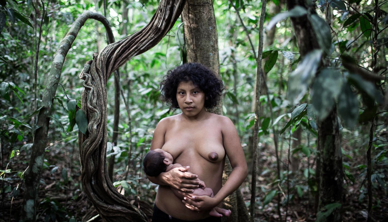 The Awá Indians are the last nomadic hunter gatherer tribe to be discovered...
