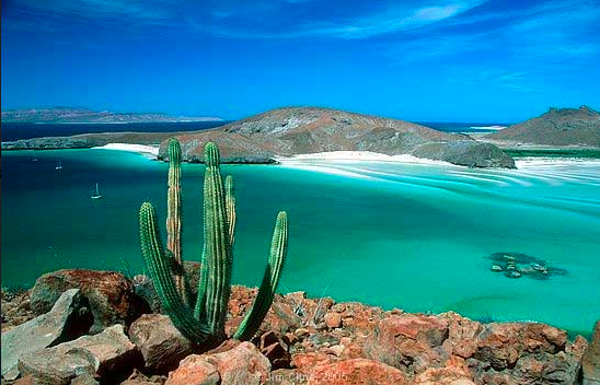 Laz Paz, captial of Baja California. Az81964444. Public Domain