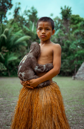 Deforestation threatens indigenous tribes living in the Peruvian jungle. Photo by Alexander Paul on Unsplash