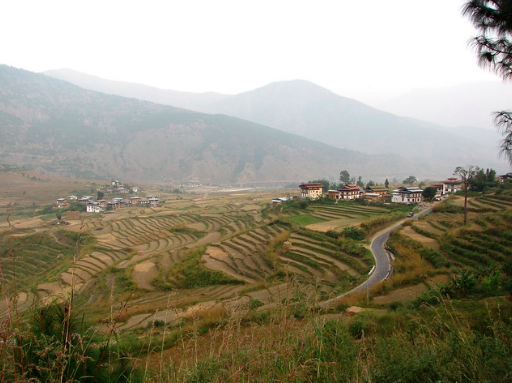 Bhutan’s Punakha Valley. Andrea Williams. CC BY-NC-ND 2.0